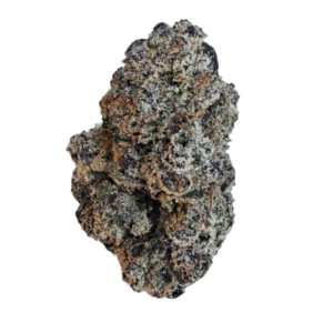 Potwest Flower - Blue Nerdz
