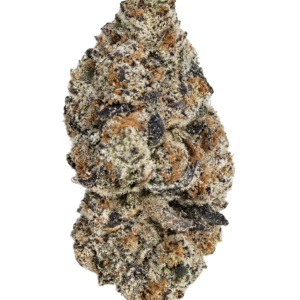 Potwest Flower - G33Z aka Gelato #33