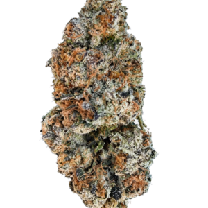 Potwest Flower : Watermelon Z