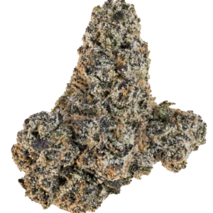 GOOD Flower by J - Versace